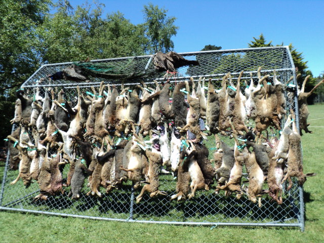 Name:  picture 017.jpg
Views: 324
Size:  164.2 KB