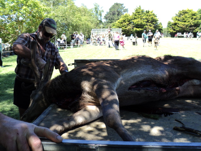 Name:  picture 018.jpg
Views: 322
Size:  164.0 KB