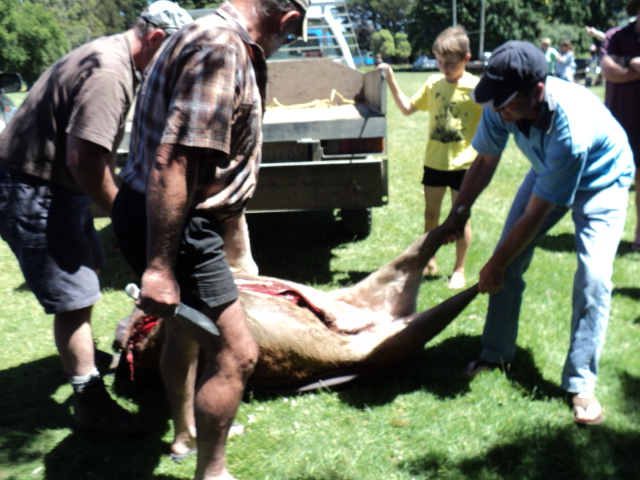 Name:  picture 025.jpg
Views: 343
Size:  163.8 KB