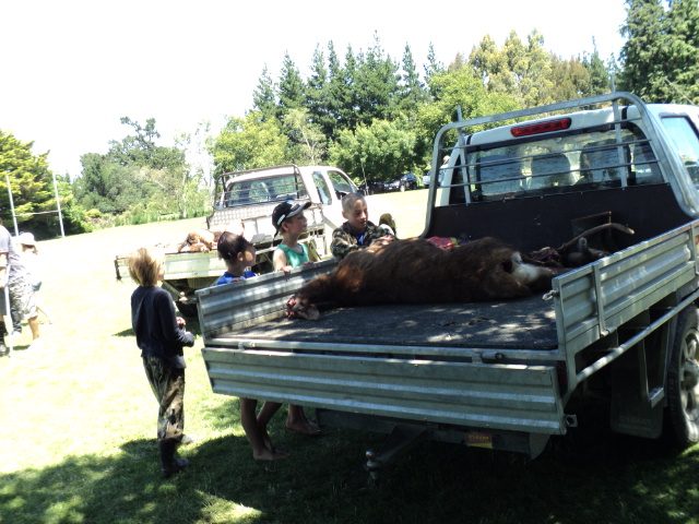 Name:  picture 028.jpg
Views: 327
Size:  163.6 KB