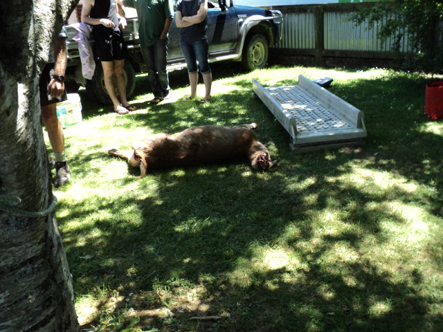 Name:  picture 029.jpg
Views: 298
Size:  164.1 KB