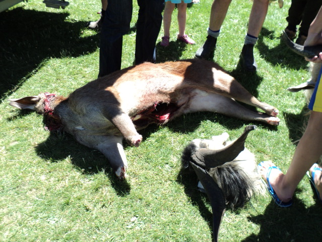 Name:  picture 033.jpg
Views: 203
Size:  164.1 KB