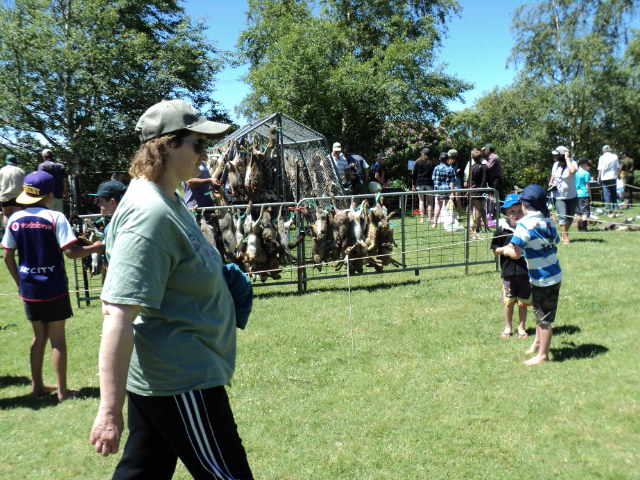 Name:  picture 035.jpg
Views: 228
Size:  163.1 KB