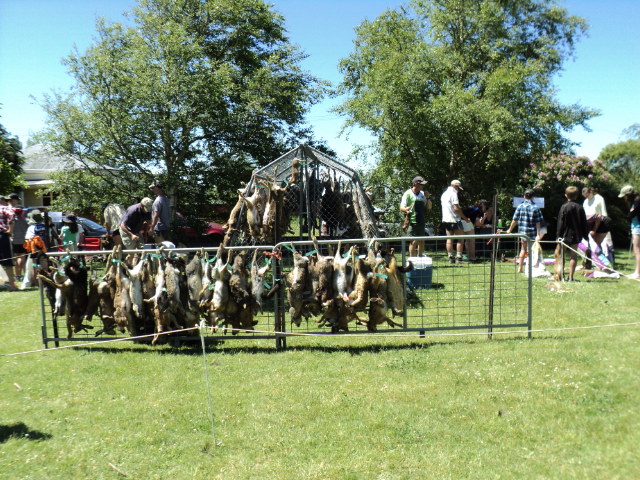 Name:  picture 036.jpg
Views: 173
Size:  165.0 KB