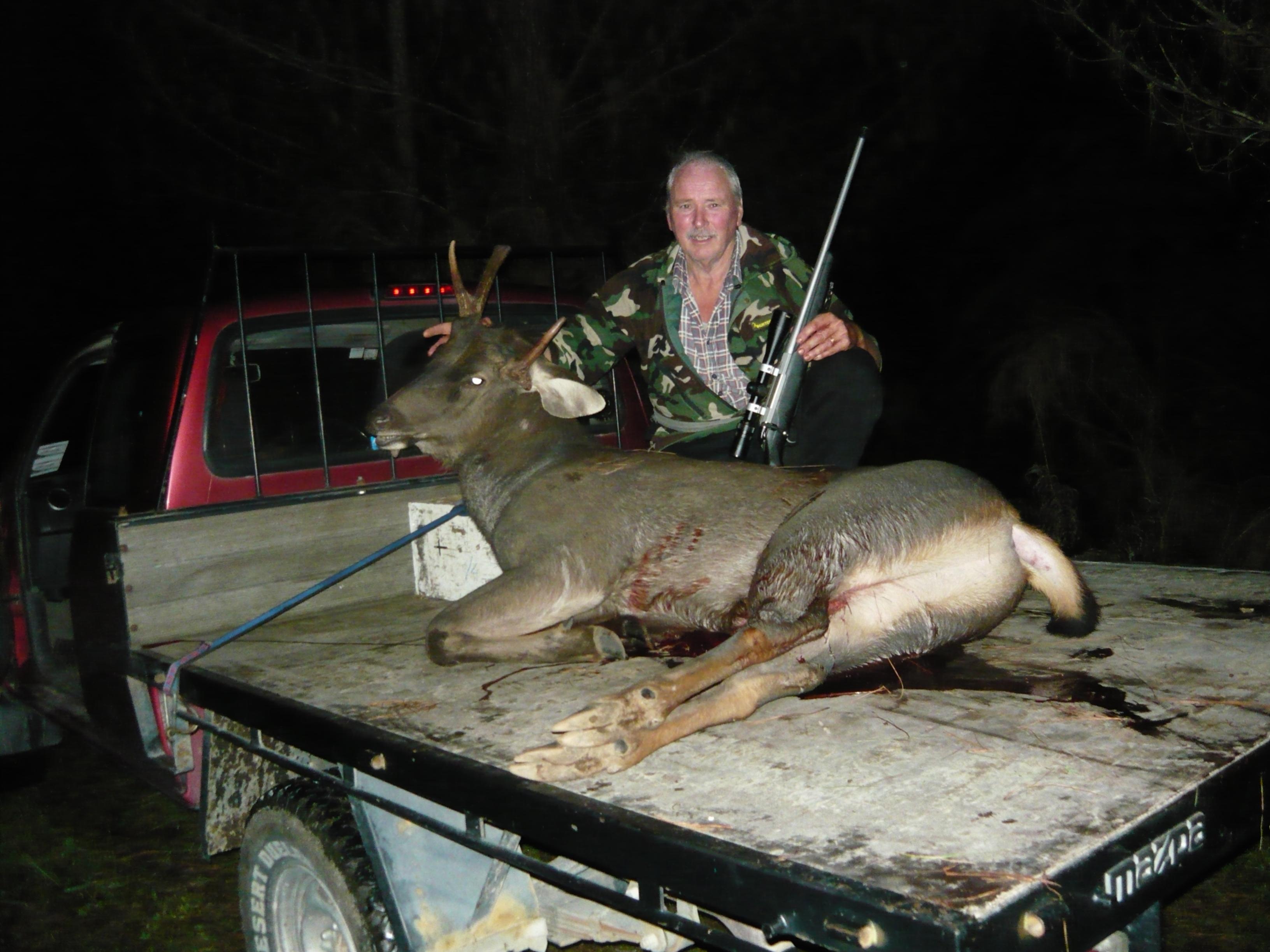 Name:  Sambar Stag 3.jpg
Views: 364
Size:  528.7 KB