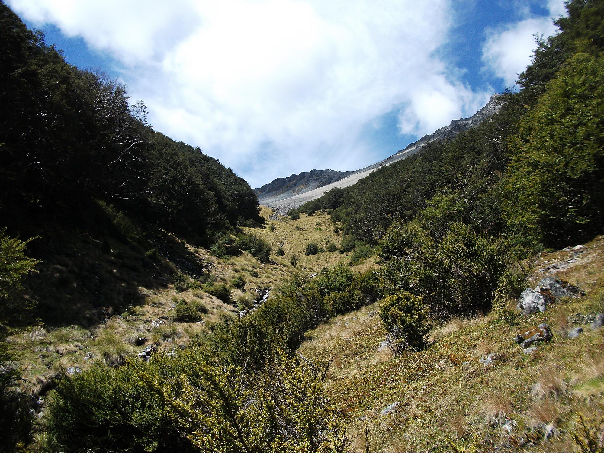Name:  photo 2.JPG
Views: 335
Size:  803.1 KB