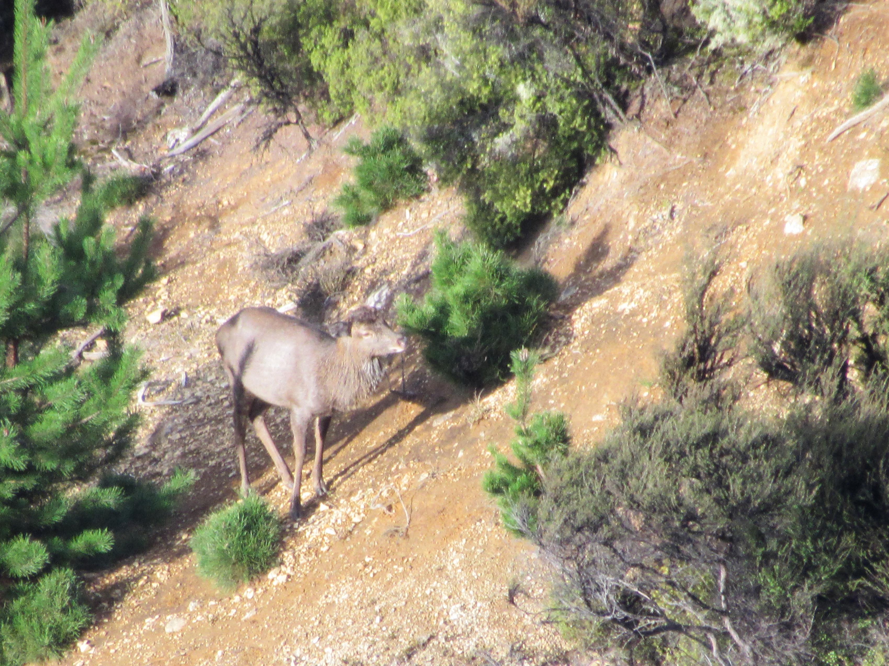 Name:  IMG_0013.jpg
Views: 1201
Size:  1.13 MB