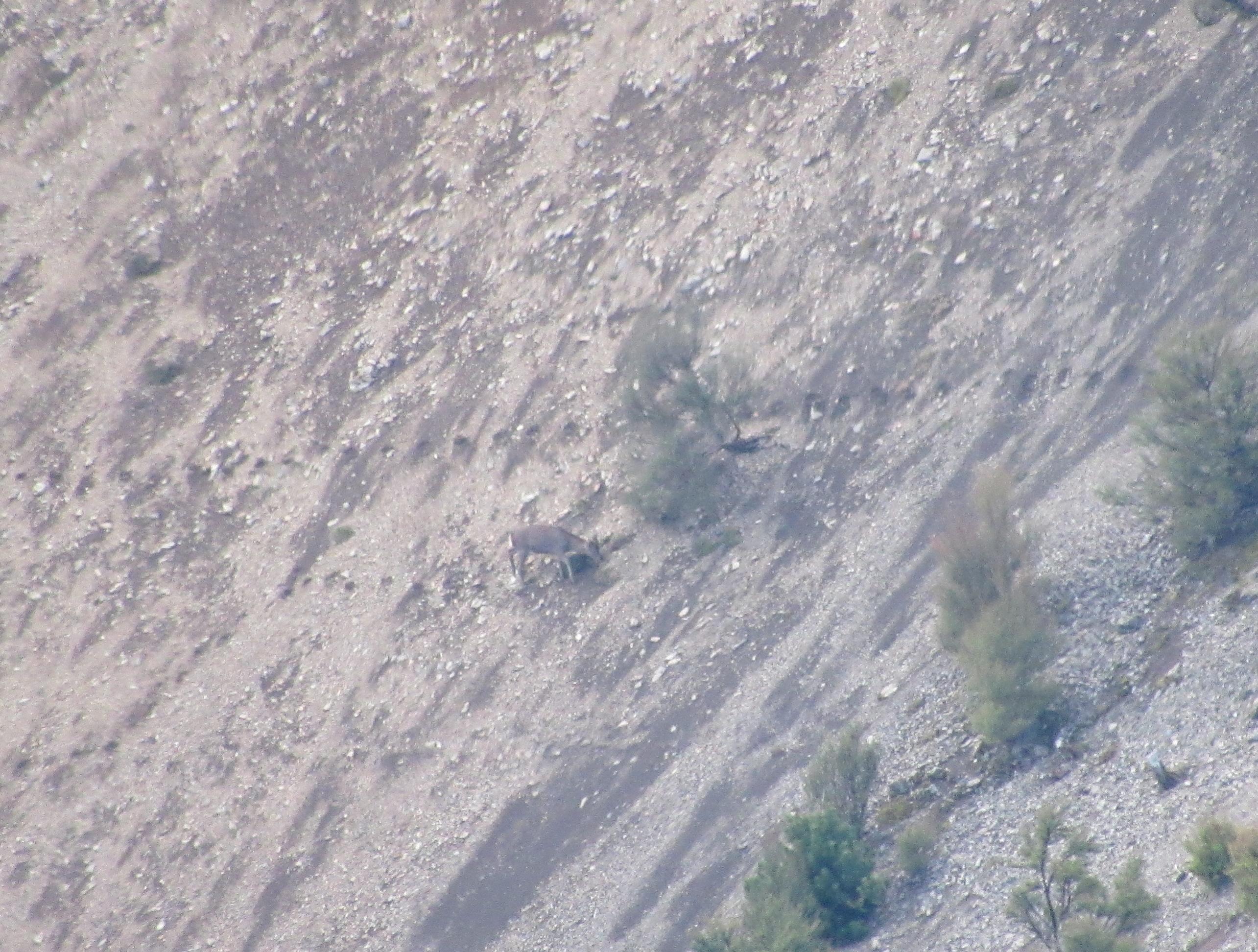 Name:  IMG_0008.jpg
Views: 968
Size:  756.4 KB