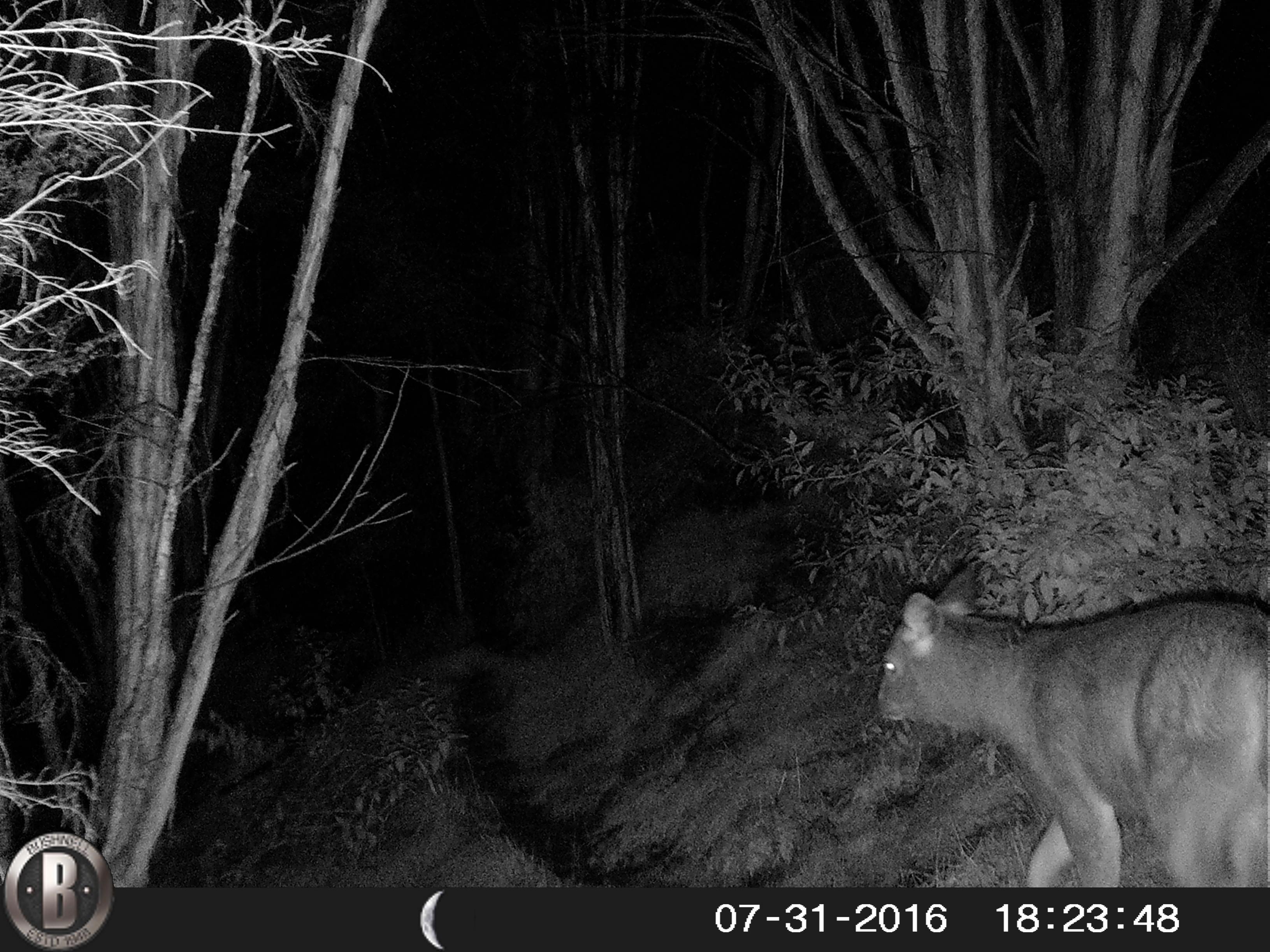 Name:  HUNT0006.jpg
Views: 512
Size:  889.8 KB