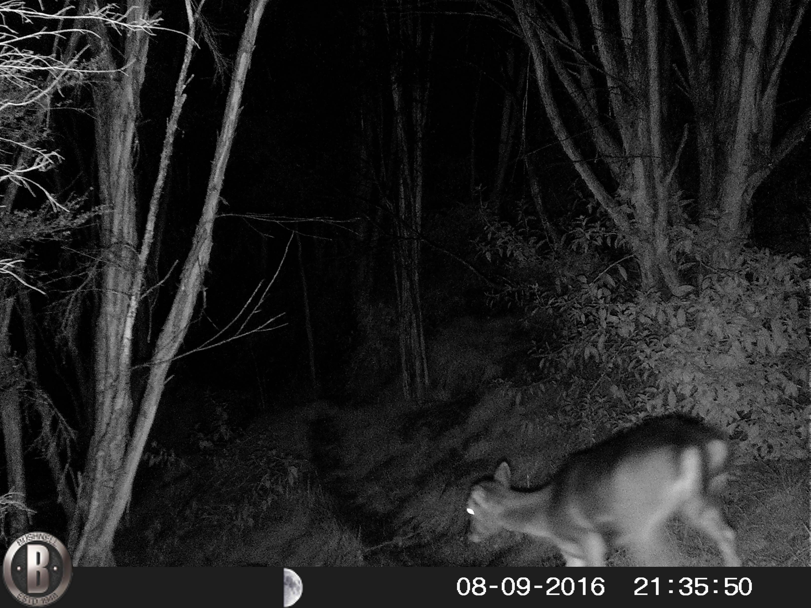 Name:  HUNT0016.jpg
Views: 540
Size:  866.9 KB