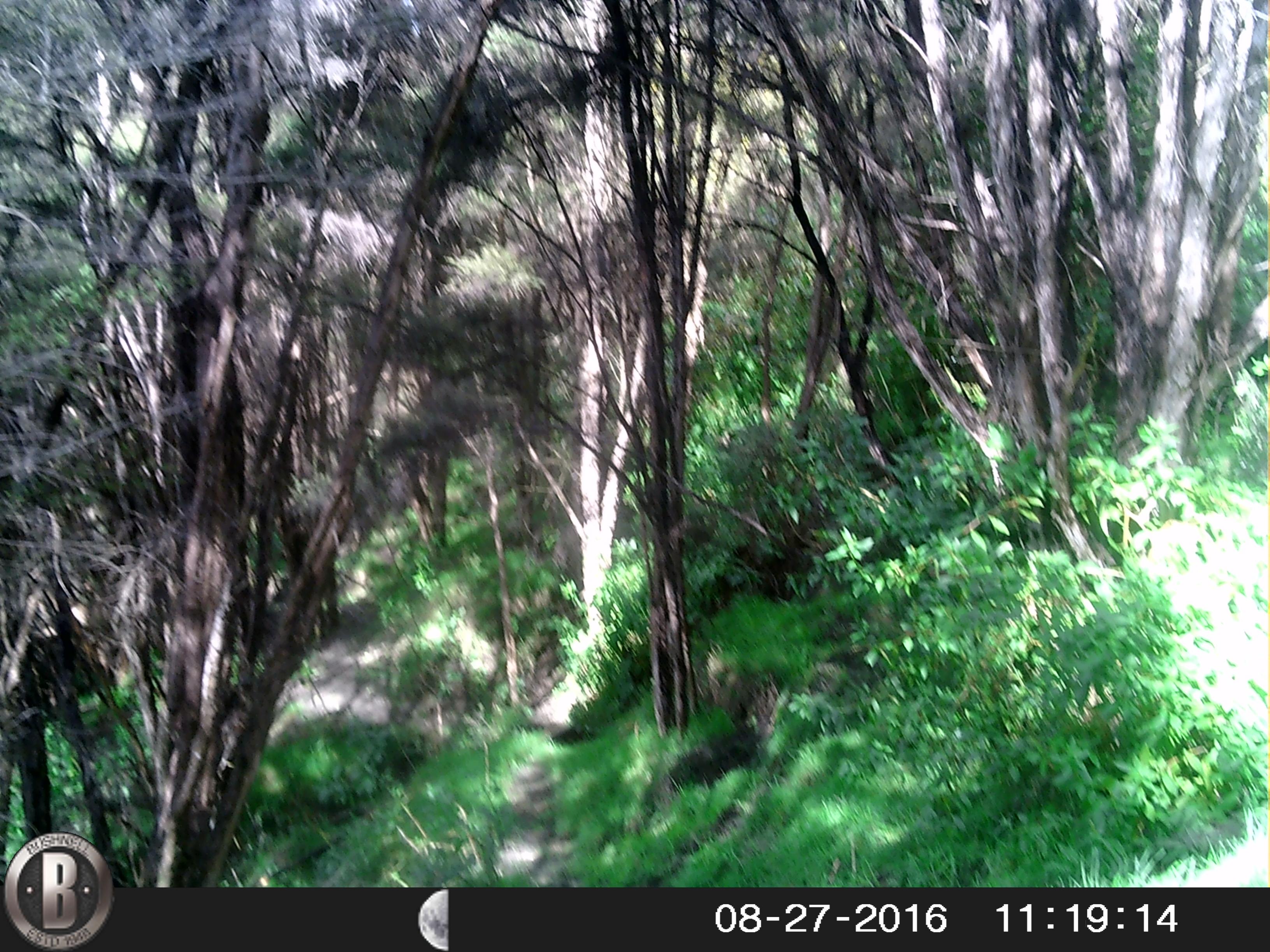 Name:  HUNT0032.jpg
Views: 483
Size:  963.8 KB