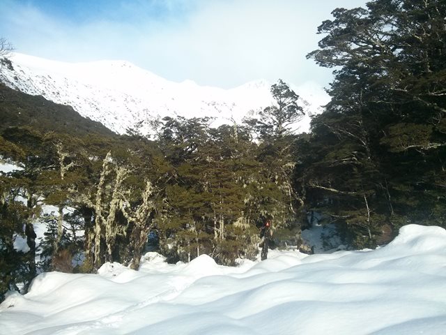 Name:  snow2.jpg
Views: 280
Size:  81.6 KB