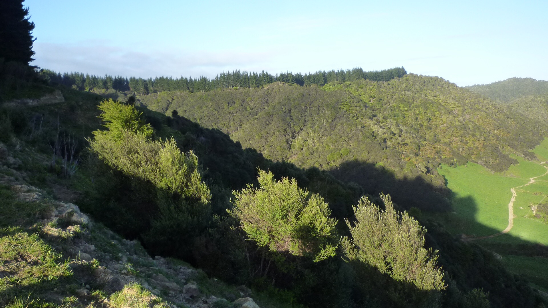 Name:  image.jpg
Views: 306
Size:  672.2 KB