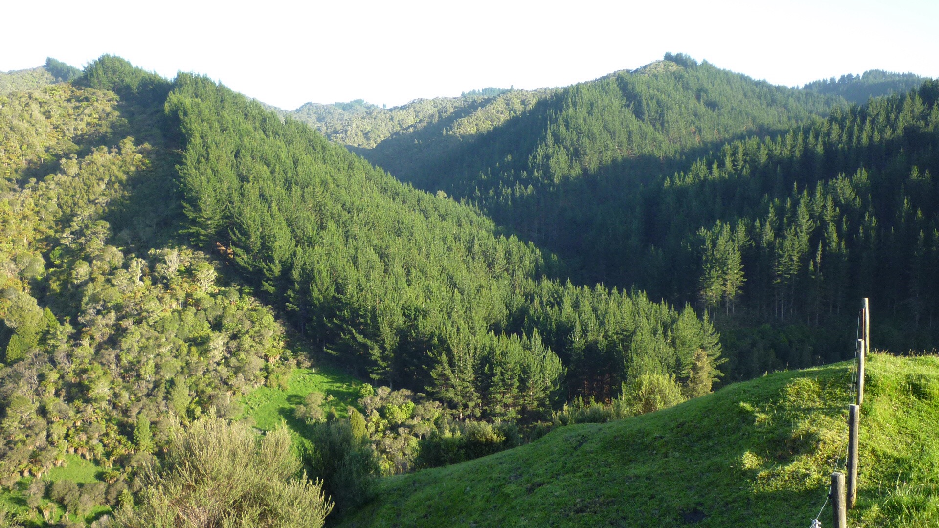 Name:  image.jpg
Views: 304
Size:  833.6 KB