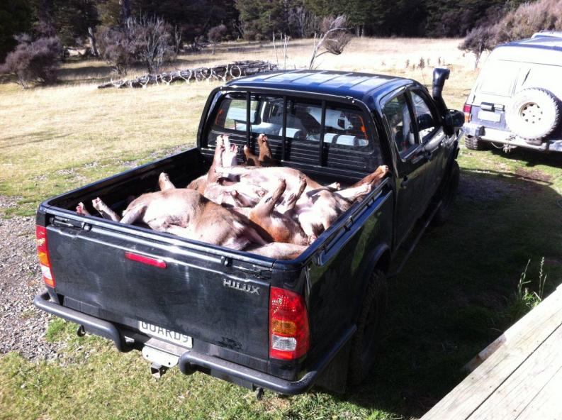 Name:  Hilux hunting email.jpg
Views: 1539
Size:  98.2 KB
