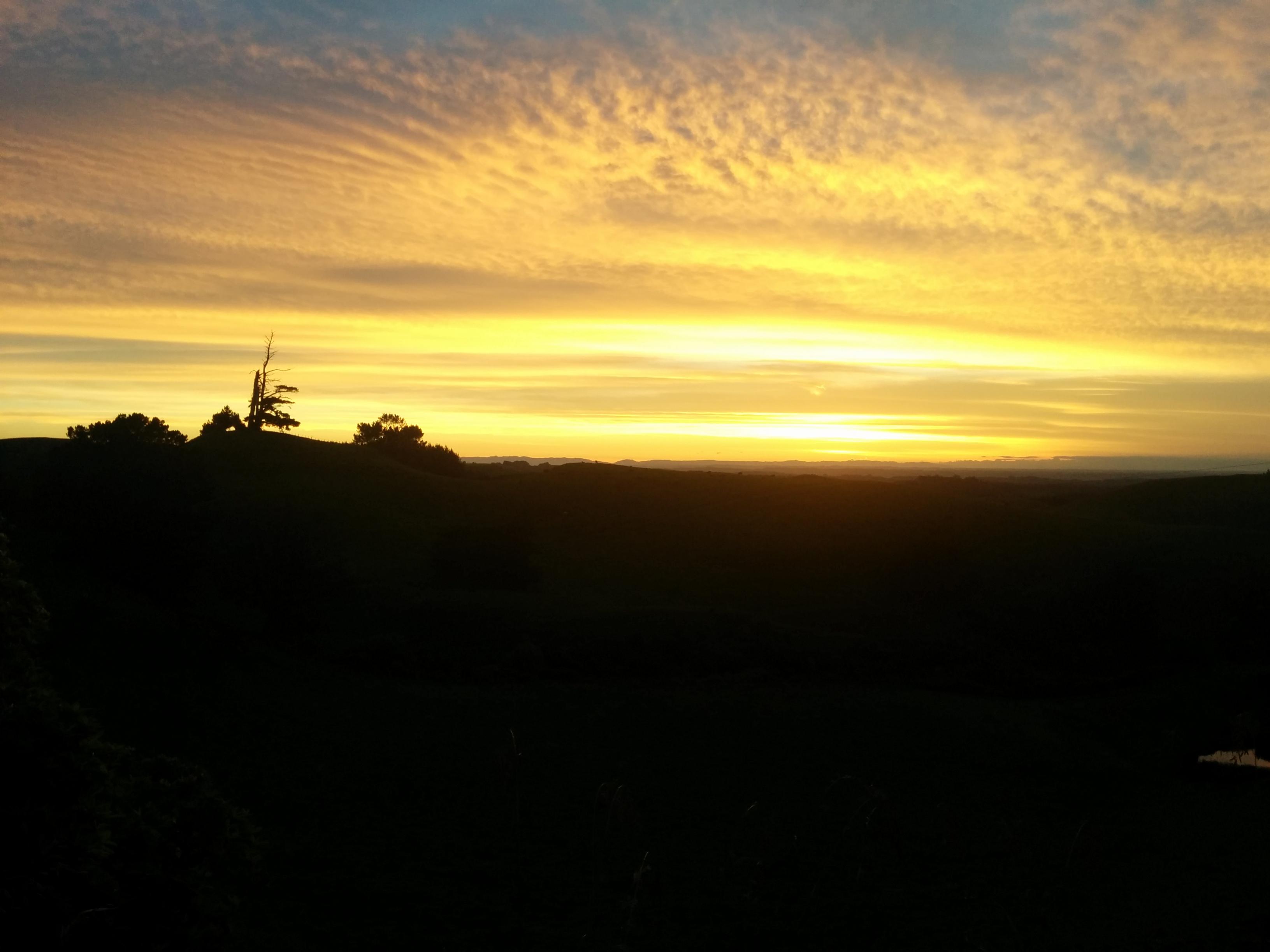 Name:  Wanganui-sunrise.jpg
Views: 550
Size:  303.8 KB