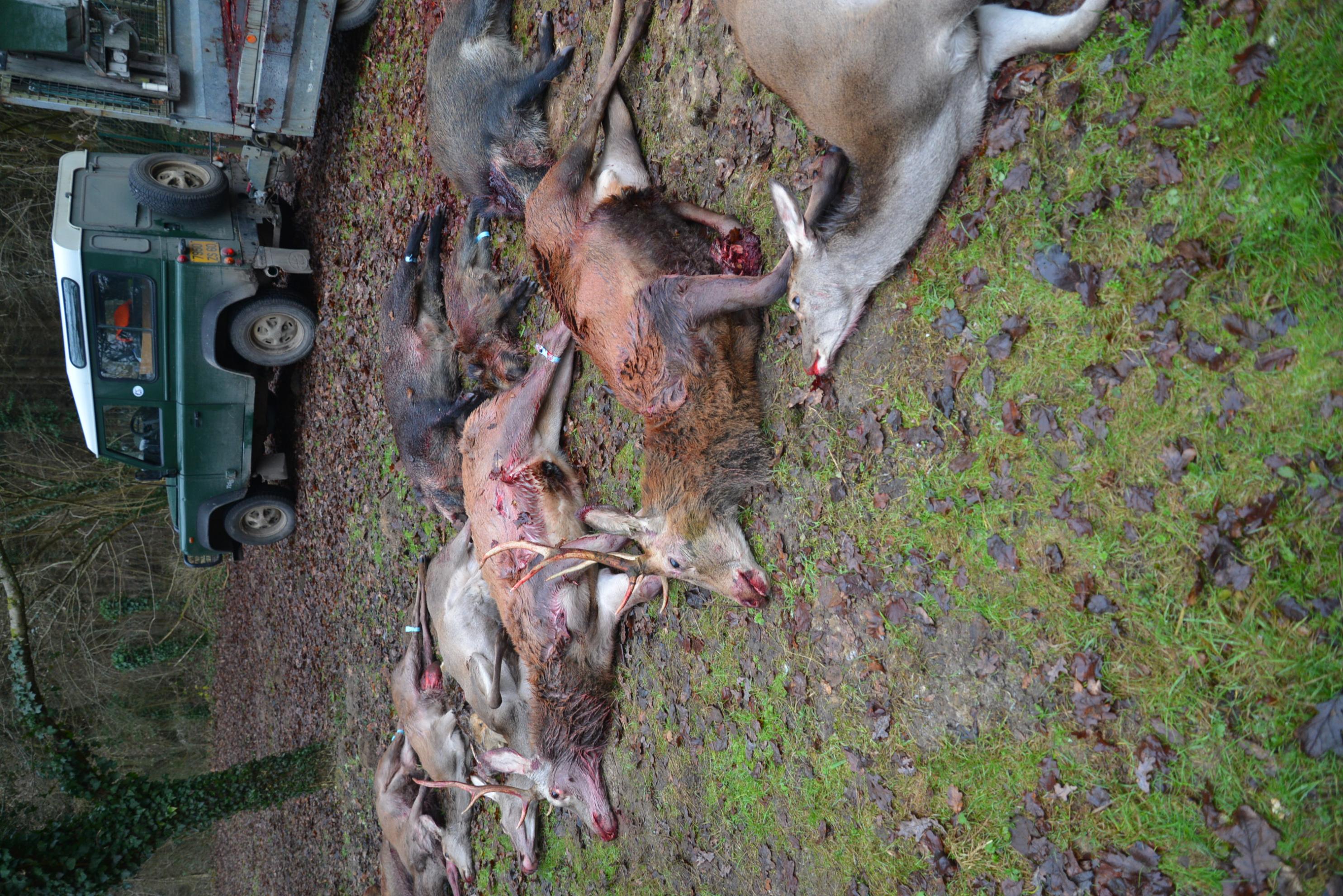 Name:  DSC_7200 - Copy.jpg
Views: 607
Size:  978.5 KB
