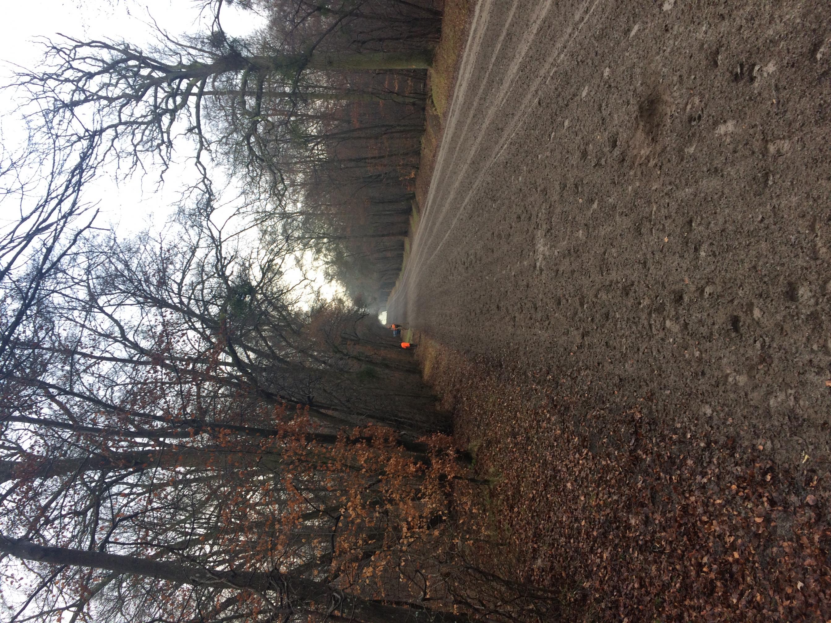 Name:  IMG_4553.jpg
Views: 305
Size:  1.04 MB