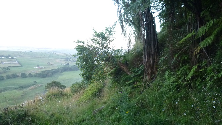 Name:  P1000402.JPG
Views: 455
Size:  151.7 KB