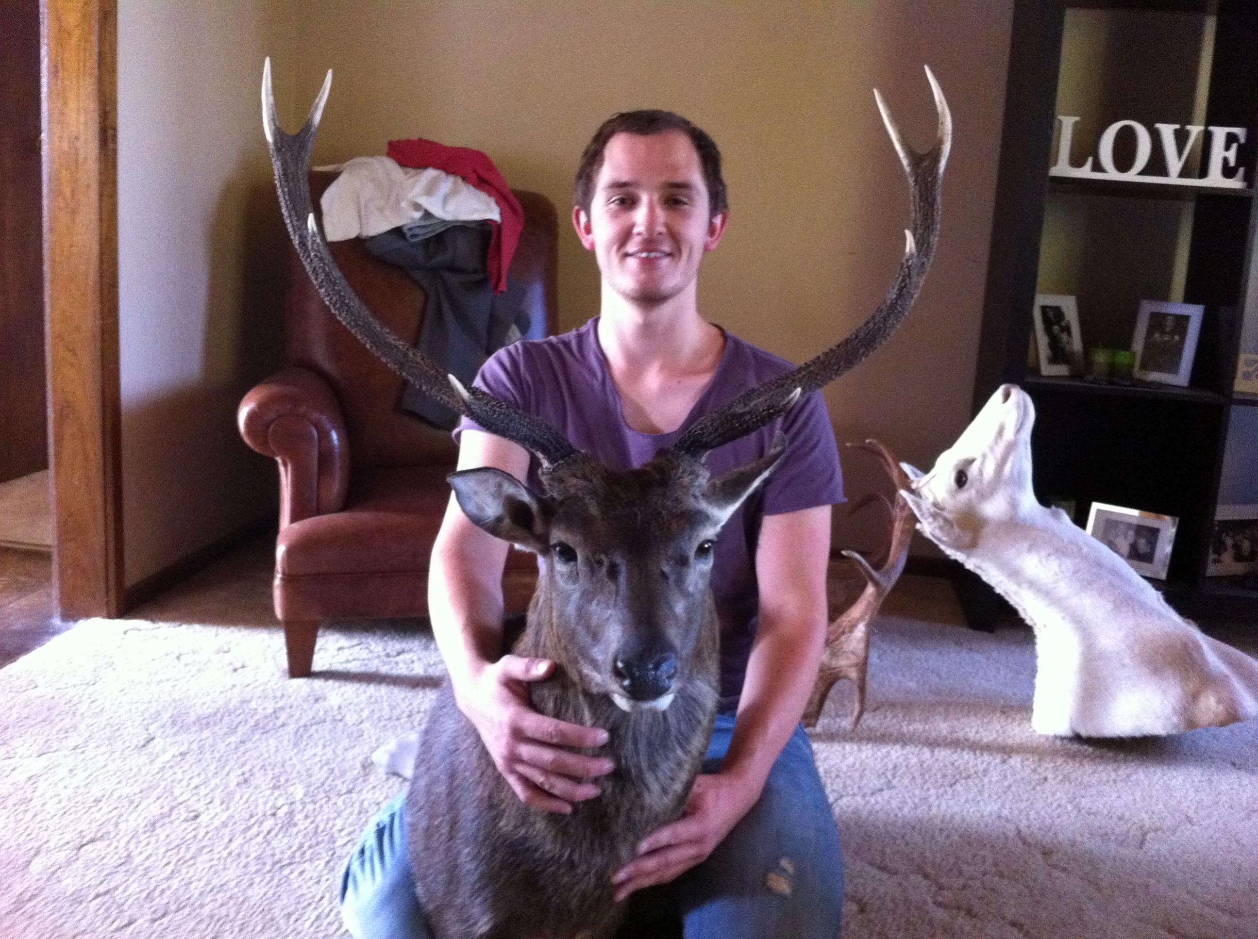 Name:  Sika Head.jpg
Views: 1070
Size:  656.9 KB