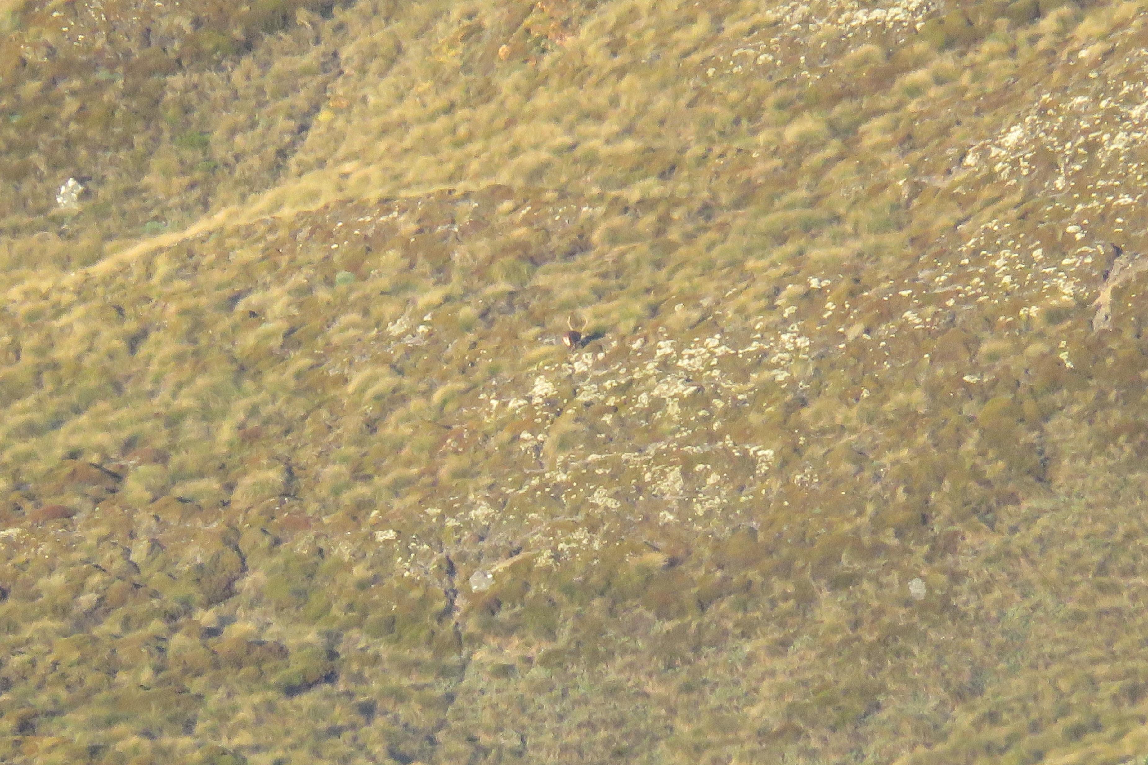 Name:  IMG_5518.jpg
Views: 1399
Size:  1.08 MB