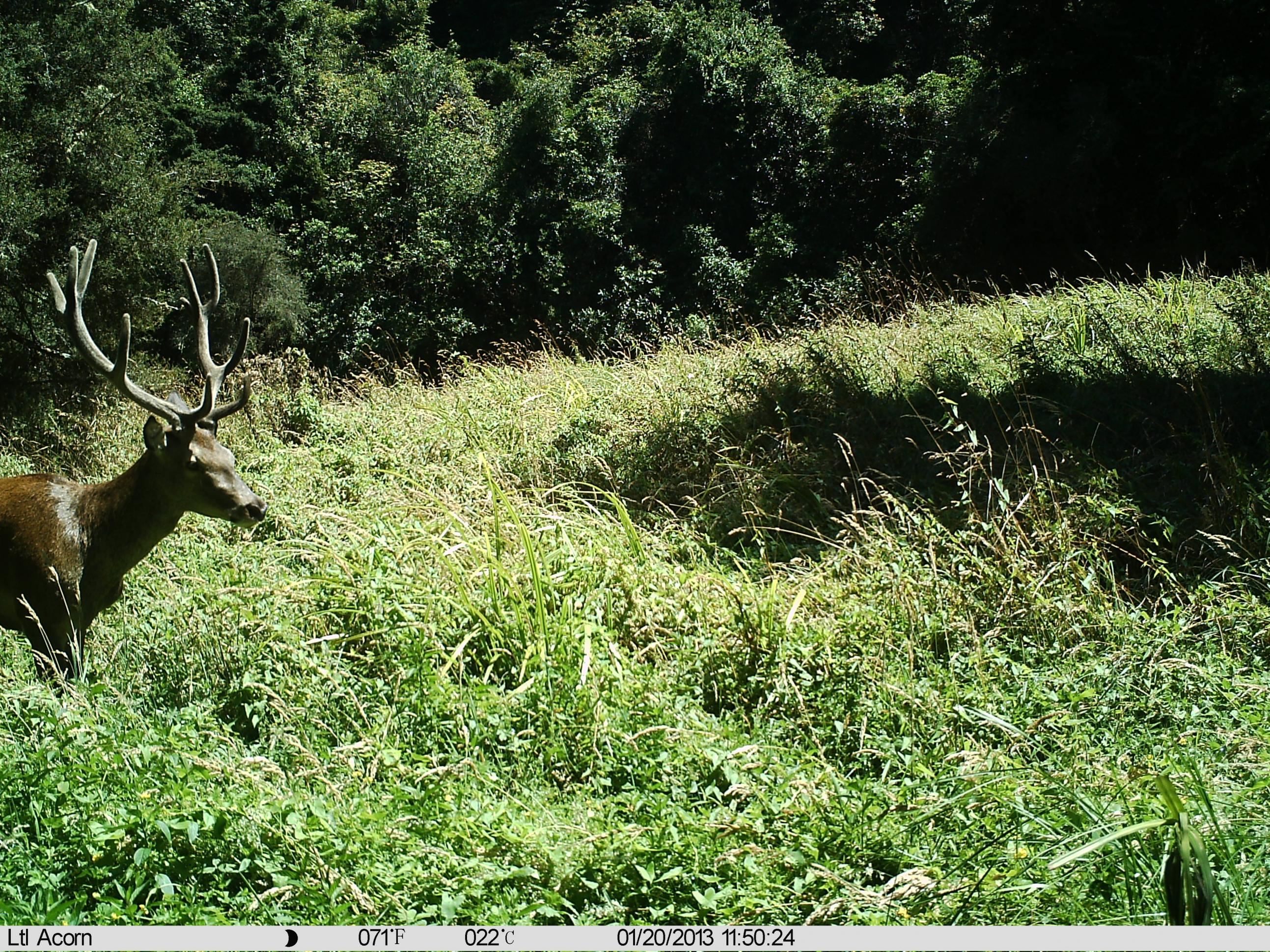 Name:  IMAG0103.jpg
Views: 1058
Size:  1.22 MB