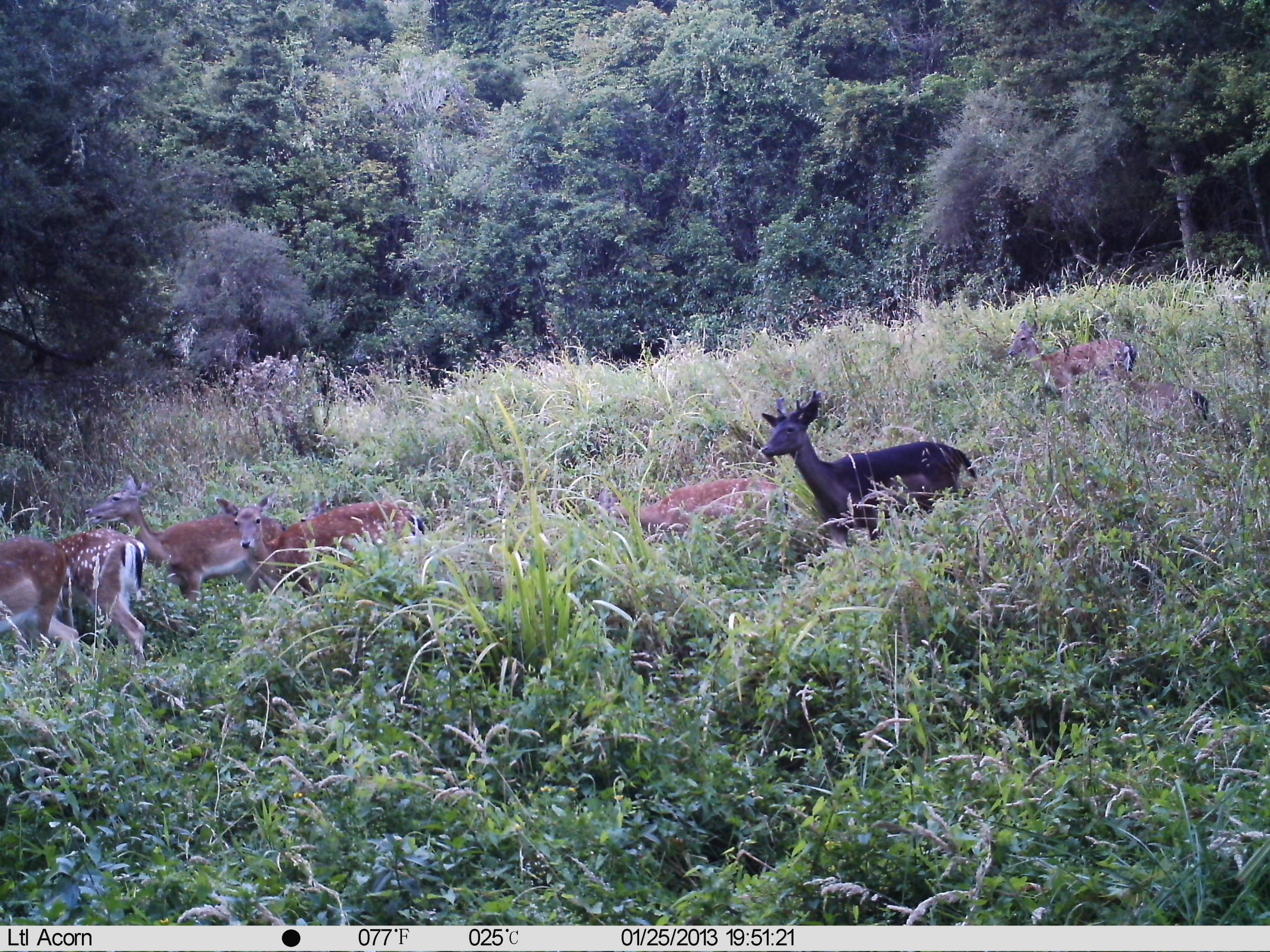 Name:  IMAG0269.jpg
Views: 1117
Size:  1.13 MB