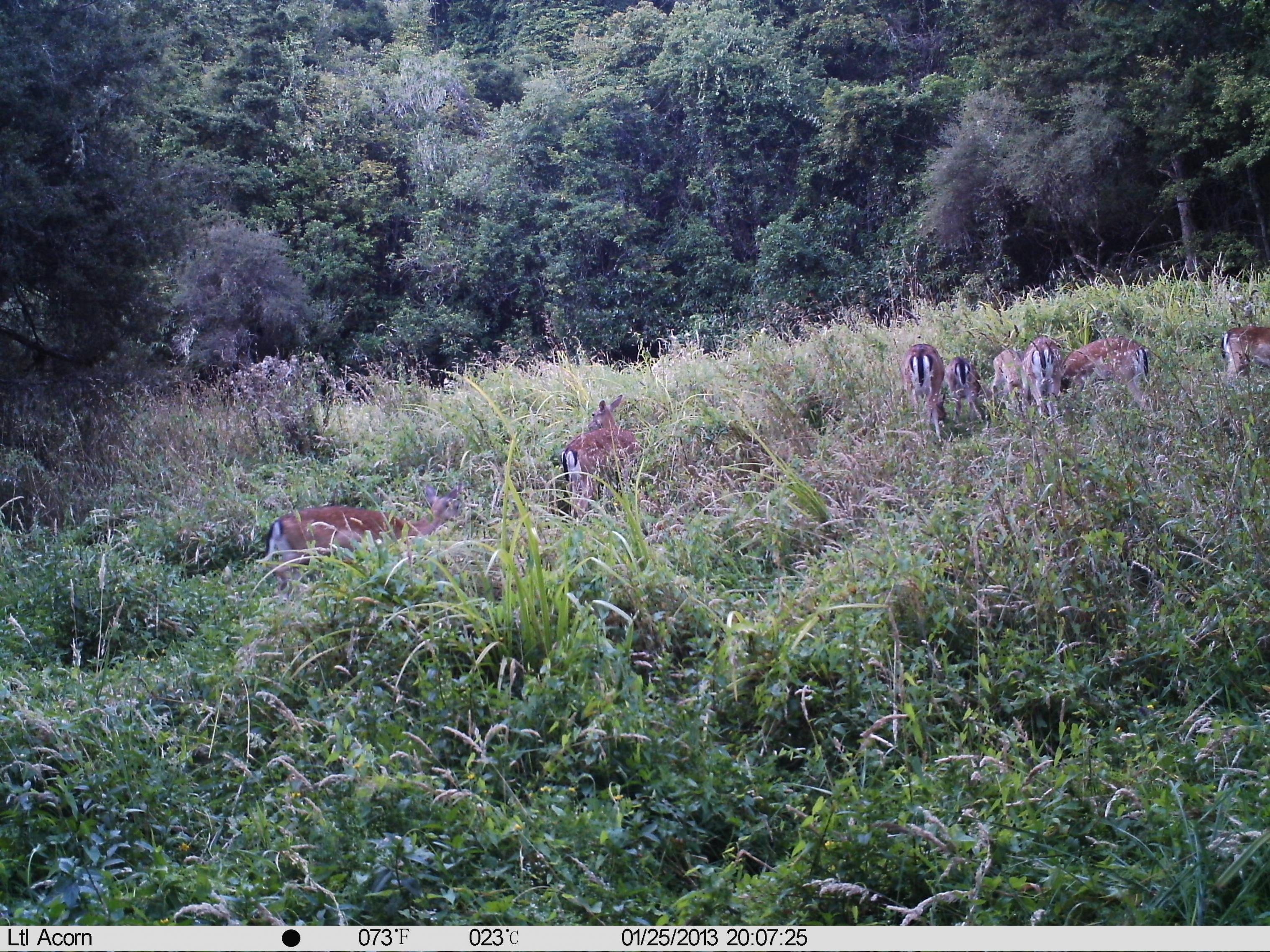 Name:  IMAG0273.jpg
Views: 3017
Size:  1.14 MB