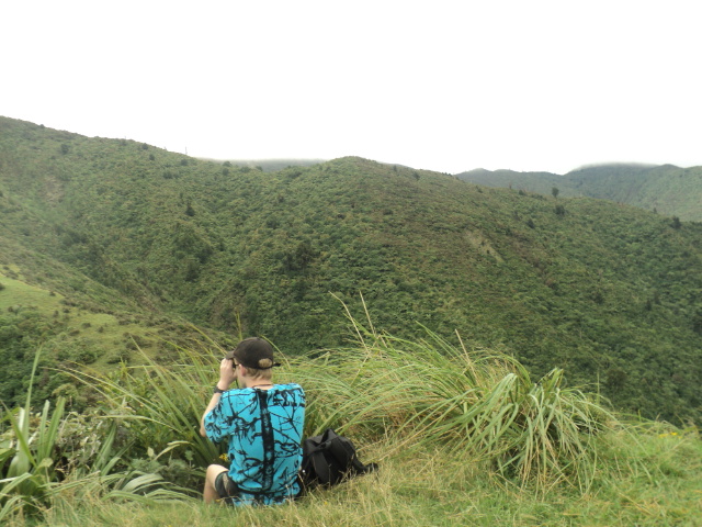 Name:  603.jpg
Views: 502
Size:  164.1 KB