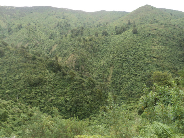 Name:  605.jpg
Views: 493
Size:  163.9 KB