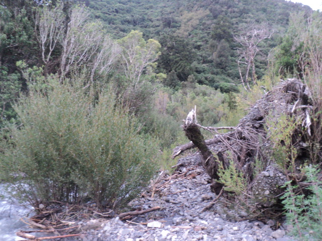 Name:  663.jpg
Views: 498
Size:  164.5 KB