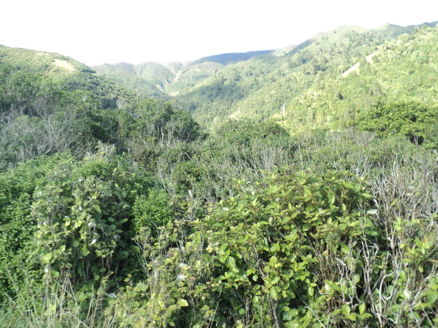 Name:  672.jpg
Views: 426
Size:  164.1 KB