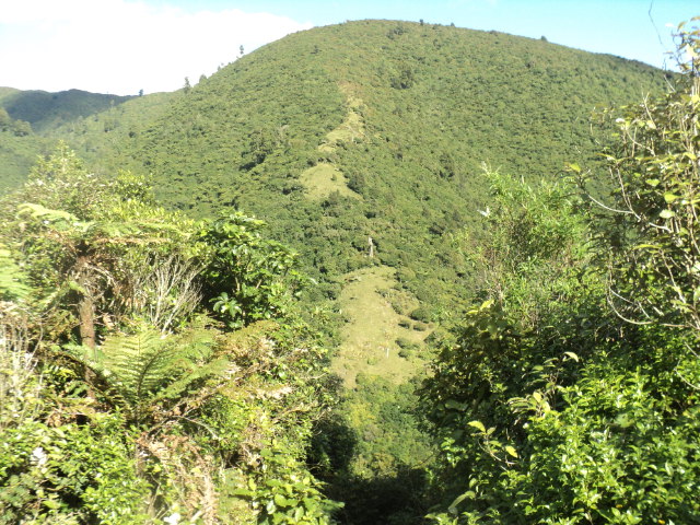 Name:  673.jpg
Views: 370
Size:  165.1 KB