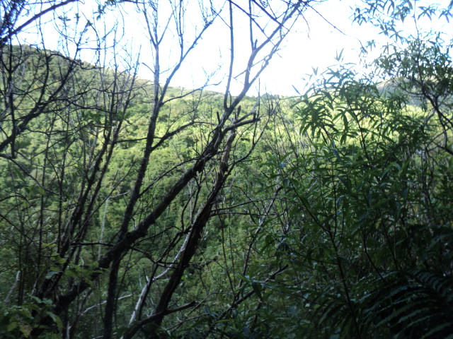 Name:  677.jpg
Views: 378
Size:  163.9 KB