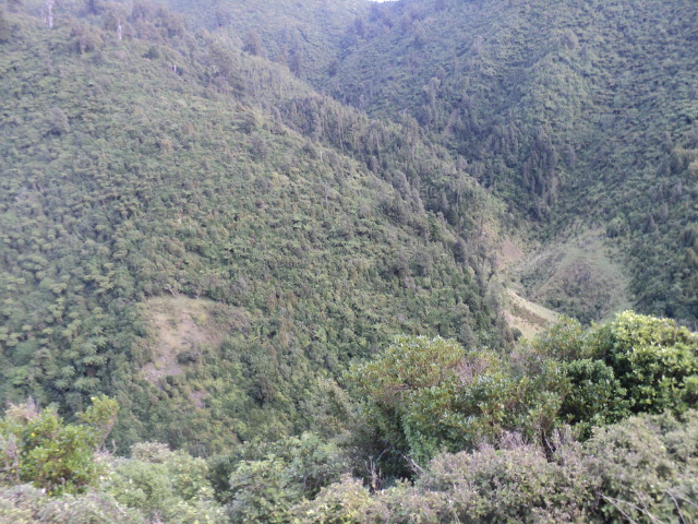 Name:  678.jpg
Views: 393
Size:  163.3 KB