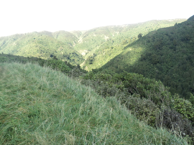 Name:  679.jpg
Views: 380
Size:  164.8 KB