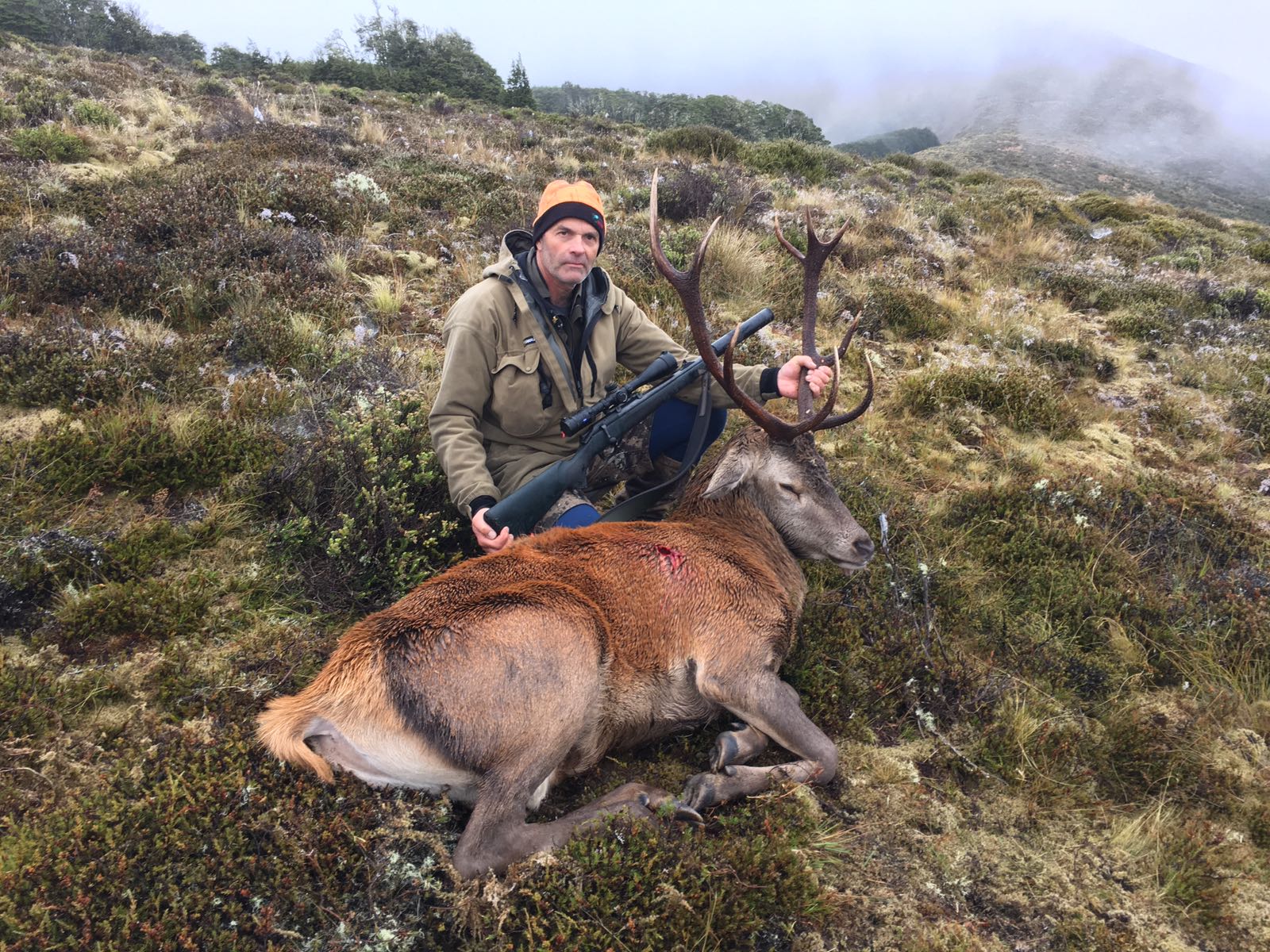 Name:  St James stag .jpg
Views: 796
Size:  476.7 KB