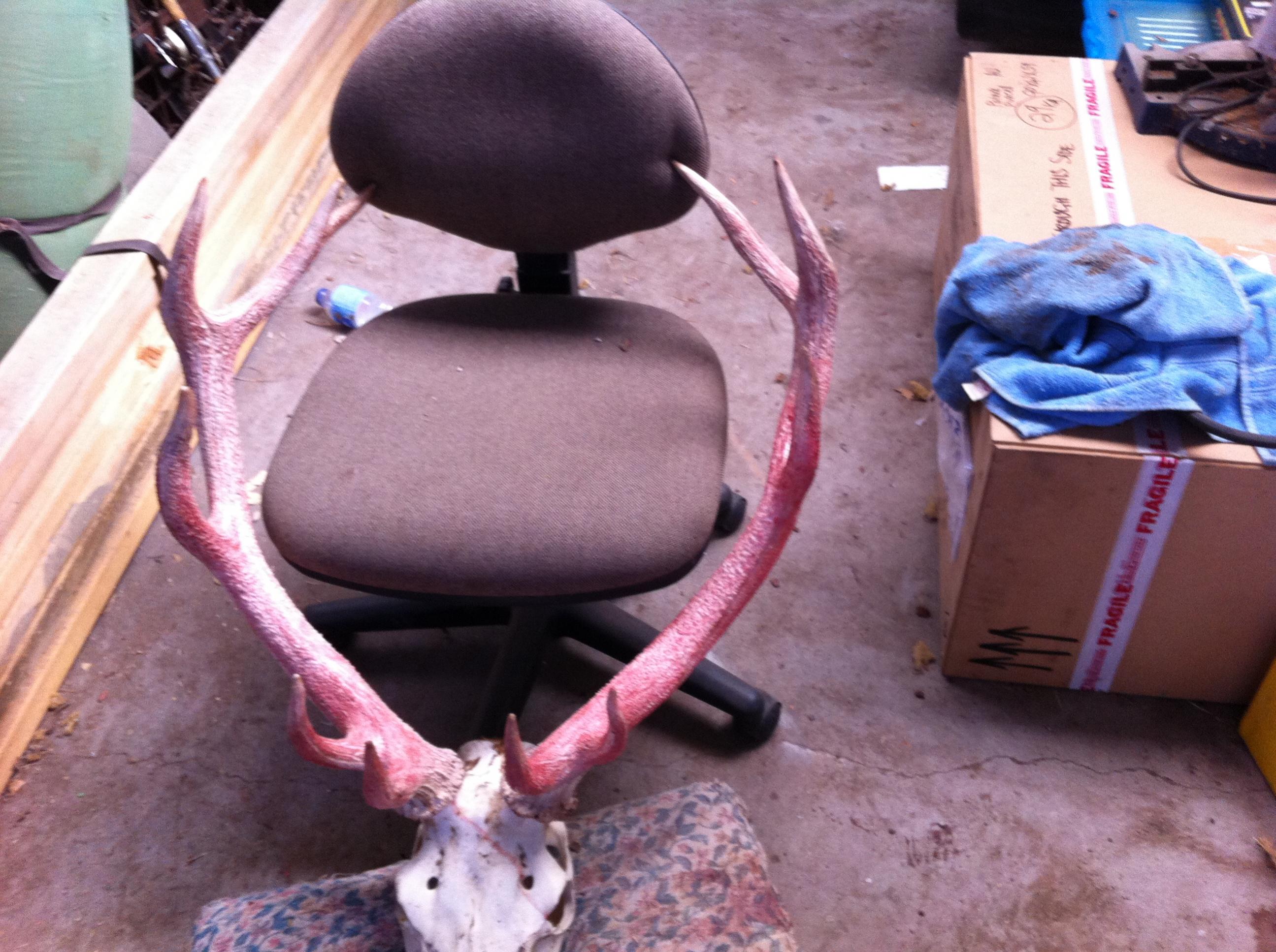 Name:  Patrick head 2013 (2).jpg
Views: 586
Size:  593.0 KB