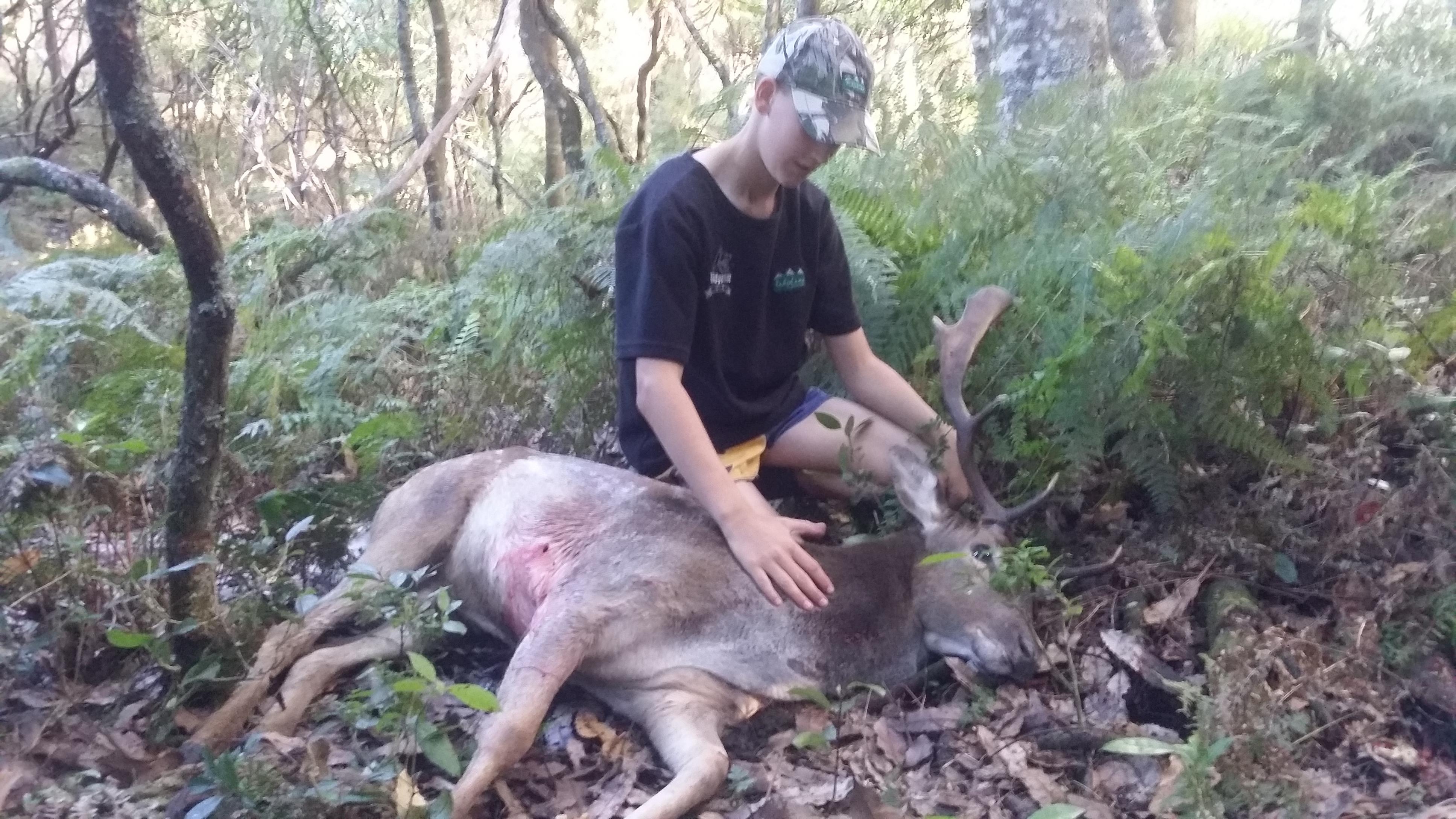 Name:  carters fallow.jpg
Views: 983
Size:  997.0 KB