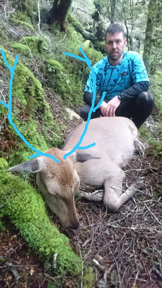 Name:  8pt sika.jpg
Views: 903
Size:  119.3 KB