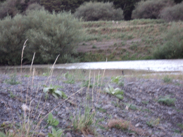 Name:  picture 1040.jpg
Views: 720
Size:  163.7 KB
