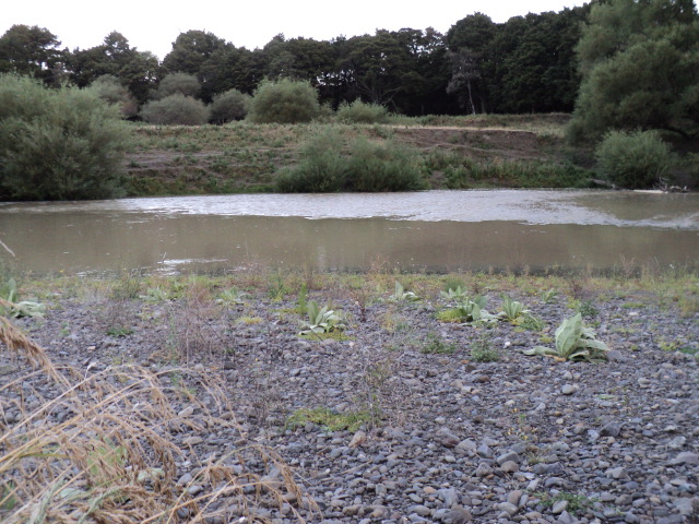 Name:  picture 1042.jpg
Views: 654
Size:  163.0 KB