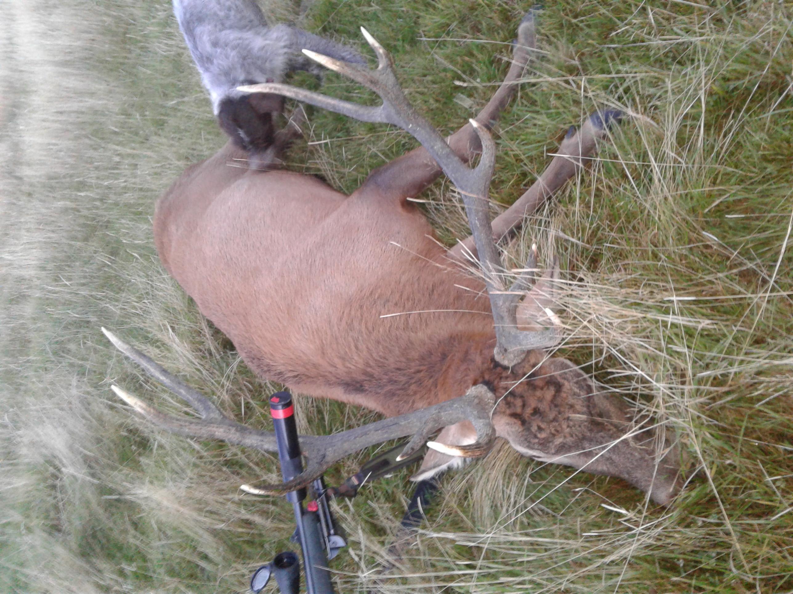 Name:  11 pointer .jpg
Views: 906
Size:  626.7 KB