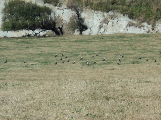 Name:  picture 1057.jpg
Views: 488
Size:  164.9 KB