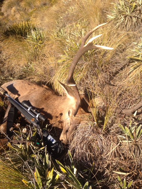 Name:  Public land 10pt Re Stag.jpg
Views: 526
Size:  189.8 KB