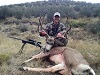 Name:  deer.jpg
Views: 212
Size:  9.7 KB