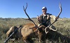 Name:  Elk.jpg
Views: 206
Size:  4.8 KB