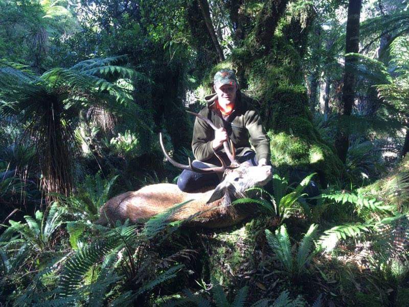 Name:  KAIMAI 6.jpeg
Views: 647
Size:  102.4 KB
