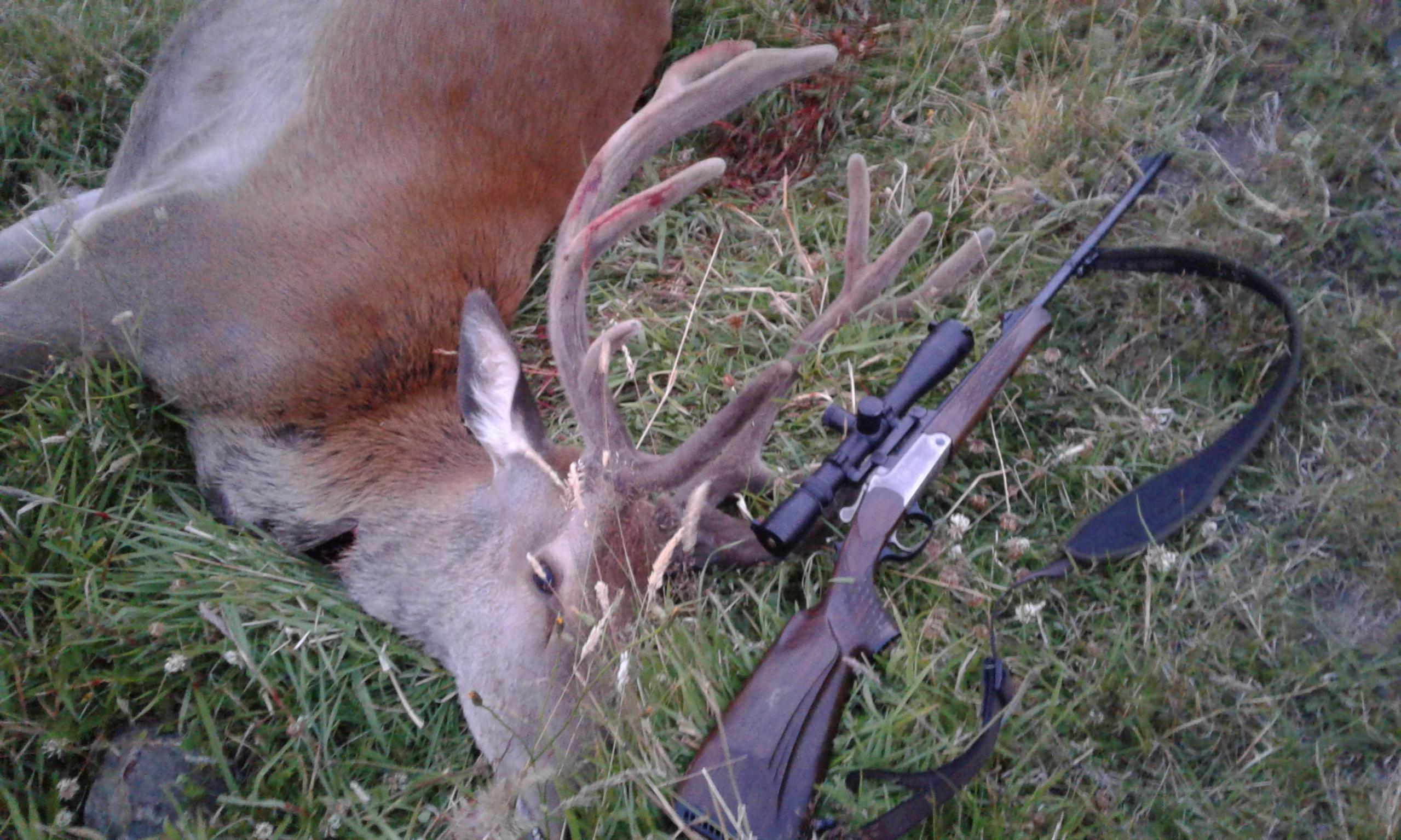 Name:  10 pointer .jpg
Views: 326
Size:  478.8 KB