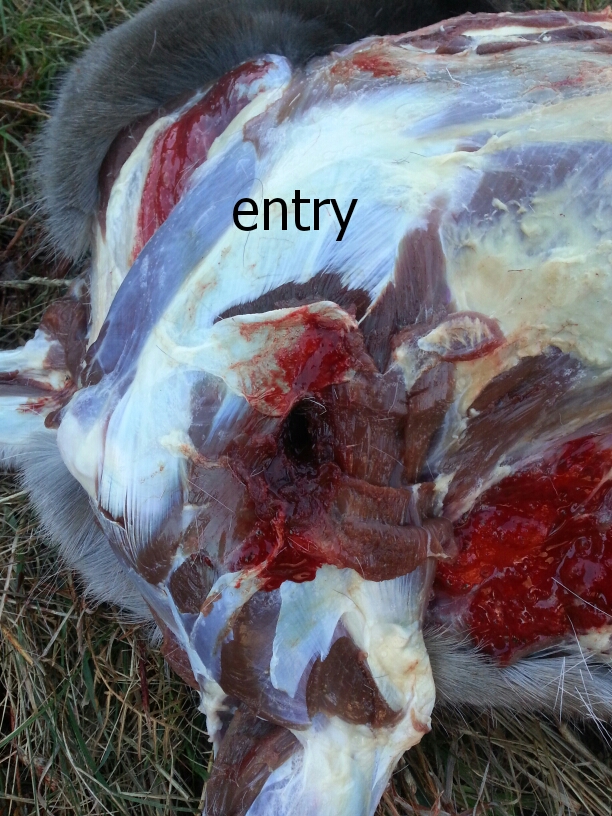Name:  1499667631298.jpg
Views: 534
Size:  457.1 KB